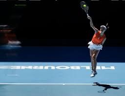 [德甲]第16轮：霍芬海姆VS沃尔夫斯堡